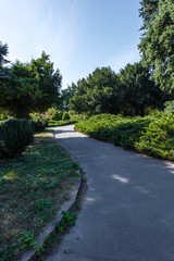 Obraz premium Walkway between green bushes and trees in park