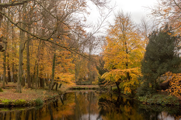 Trees in autumn colors reflected in the water of a canal