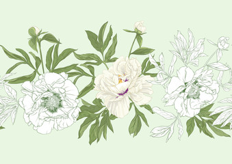 White peony flowers. Seamless pattern, background. Colored and outline design. Vector illustration. In botanical style On tea green background..