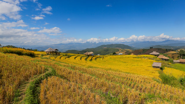 Terraced rice fields at Chiangmai Province in thailand.
