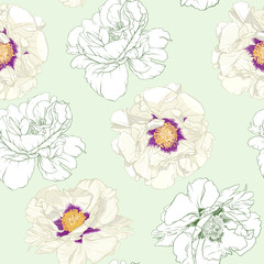 White peony flowers. Seamless pattern, background. Colored and outline design. Vector illustration. In botanical style On tea green background..