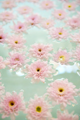 pink flower on water, spa decoration, Healthy Concept.