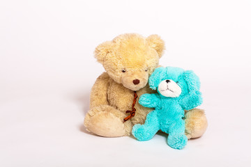 teddy bear on white background