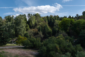 Green woods in park and blue sky with clouds at background