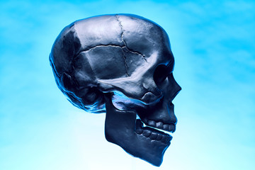 Product shot of black skull side profile.