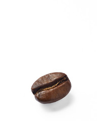 Fototapeta premium Coffee bean on white background
