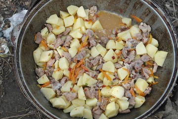 fried potatoes with meat and vegetables