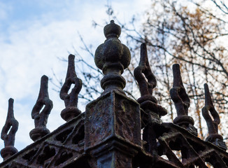Abstract view of ornate iron spikes