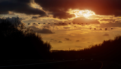 Sunrise road view with cars in front driving in early morning to work