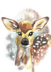 Roe deer portrait watercolor illustration. Little doe.