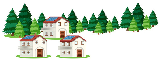 Three houses and pine trees on white background