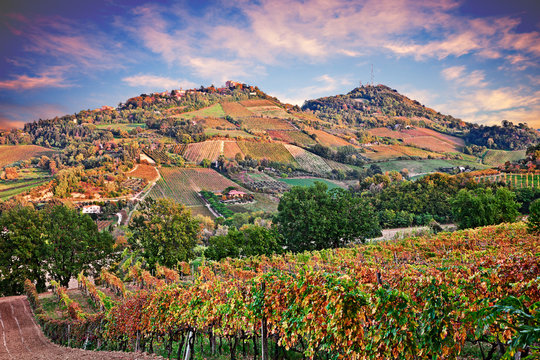 Bertinoro, FC, Emilia Romagna, Italy: landscape at dawn of the hills with vineyards