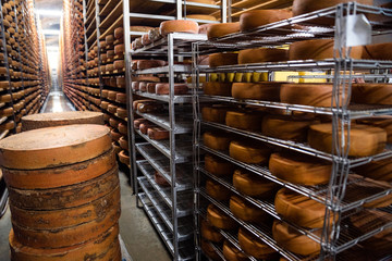 long wooden shelvings, filled with hard cheese wheels, and testing equipment in cheese ripening...