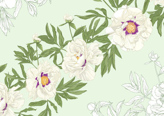 White peony flowers. Seamless pattern, background. Colored and outline design. Vector illustration. In botanical style On tea green background.. © Elen  Lane
