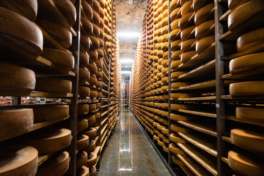 long wooden shelvings, filled with hard cheese wheels, and testing equipment in cheese ripening chamber; affinage cellar; quality control; authentic, traditional cheesemaking; Alps