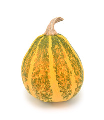 Ripening green and yellow ornamental gourd, turning orange