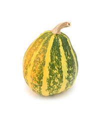 Half-ripe ornamental gourd with yellow and green stripes