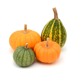 Green ornamental gourds and orange Jack Be Little mini pumpkins
