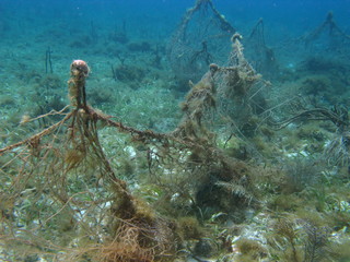 filet de p&ecirc;che abandonn&eacute;