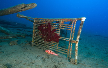 dechet caddie sous l'eau
