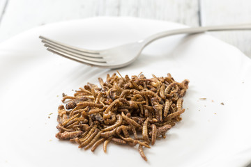Fried cricket larvae