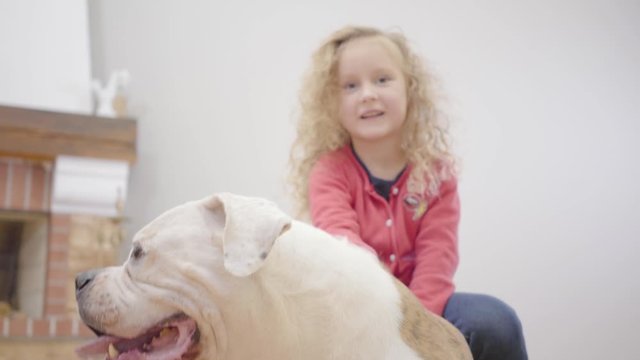 Close-up of white and brown bulldog and pretty Caucasian little girl at the background. Child resting with her animal friend indoors. Cheerful kid with dog.