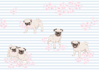Seamless pattern with Pug dogs with blooming sakura spring flowers. Vector illustration. On blue and white stripes background.