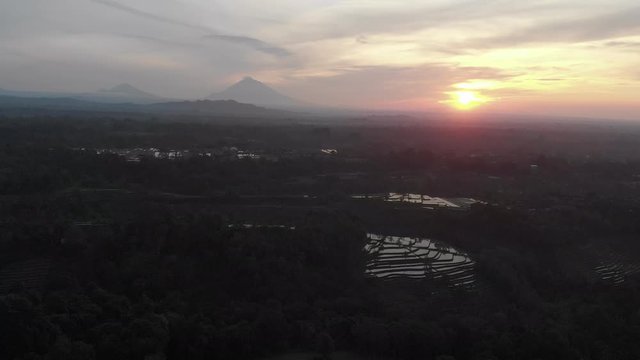 Sunrise over rice terraces with palm trees and volcanoes on the horizon