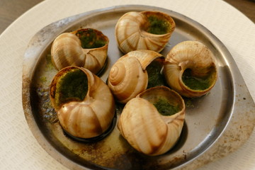 エスカルゴ料理　フランス