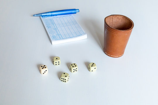a game of yahtzee with 5 dice and a leather cup