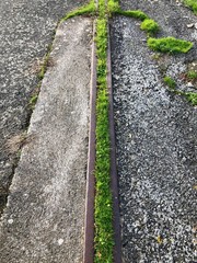 Obraz premium Rail Végétation