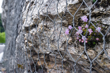 rockfall protection nets