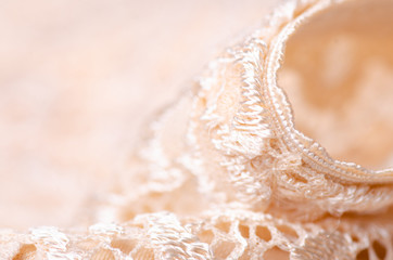 Bodily champagne underwear texture macro blur background