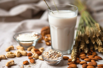 Fresh vegan alternative milk in big glass. Closeup, white background. Healthy vegetarian food concept. Almond, cachou, walnut, oatmeal, coconut to illustrate raw ingredients. Copy space for text