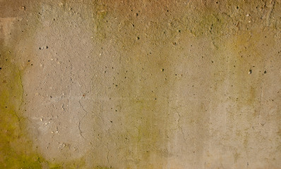 the texture of the plastered surface