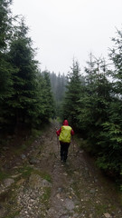 Walking in the forest though rain