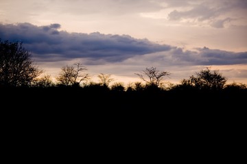 Fototapeta na wymiar Sunset with clouds in Africa