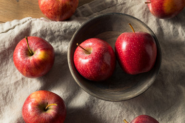 Naklejka na ściany i meble Raw Red Organic Gala Apples