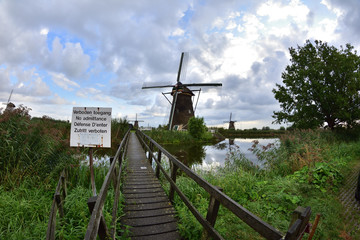 Wiatraki na polderach Holandii w Kinderdijk © W Korczewski