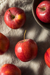 Raw Red Organic Gala Apples