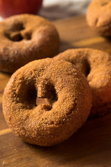 Fototapeta na wymiar Homemade Cinnamon Apple Cider Donuts