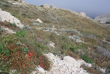 Frioul archipelago in fog