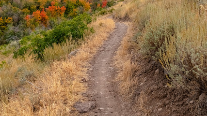 Fototapeta premium Panorama Scenic view of a mountain hiking trail in Utah