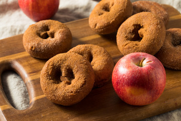 Homemade Cinnamon Apple Cider Donuts