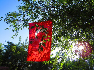 Turkish flag