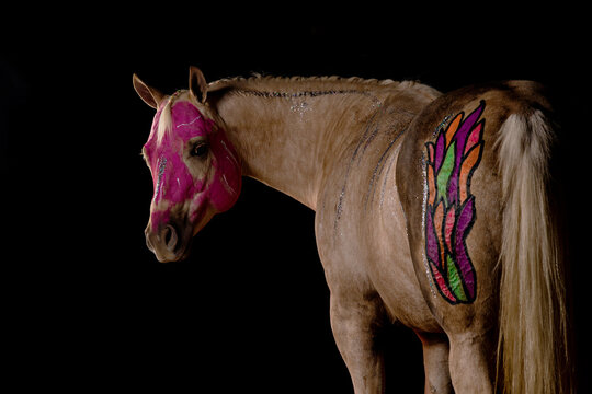 Halloween Horse