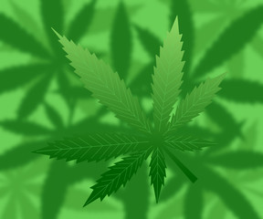 Fototapeta na wymiar Cannabis leaf on a green background consisting of many blurry leaves