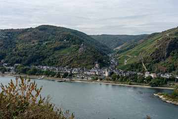 Fototapeta premium bacharach castle on rheinsteig with vineyards, germany