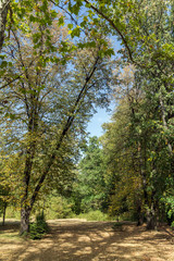 Fototapeta na wymiar Everlasting forests at park Vrana - around former Royal Palace in city of Sofia