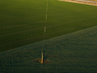 Power lines at green crop field, Lithuania, space for text.